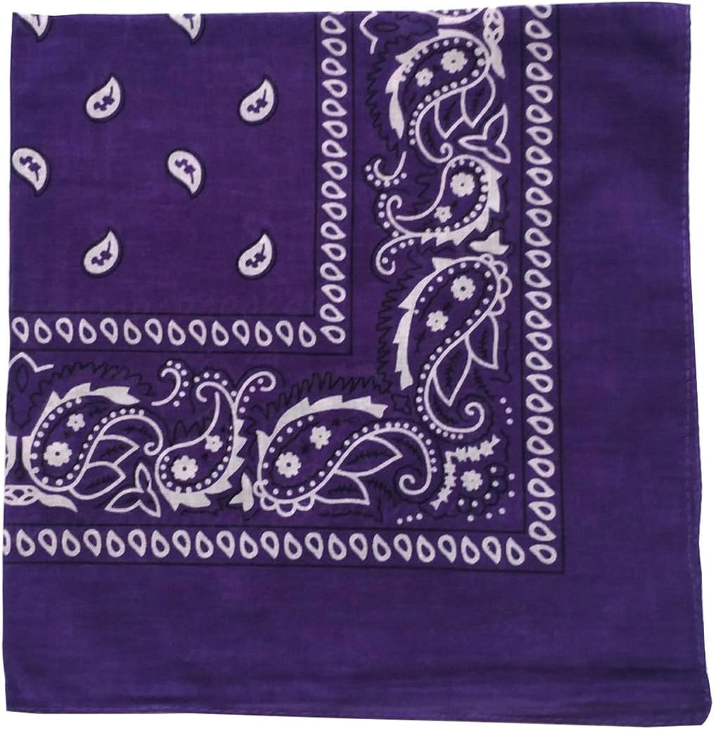 Combocube Cotton Paisley Bandanas, 12 Pack