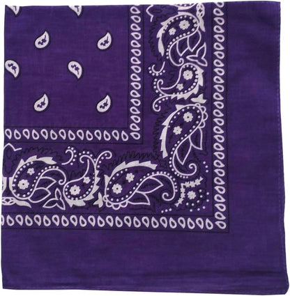 Combocube Cotton Paisley Bandanas, 12 Pack