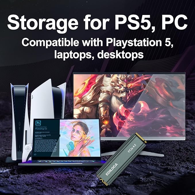 2TB M2 NVME SSD with Heatsink - PCIe Gen4.0 NVMe M.2 2280 3D NAND TLC, 4800MB/s Read, Internal Solid State Drive for PS5/PC, Dynamic SLC Cache, PS5 Storage Expansion, 5-Year Warranty(EN760)