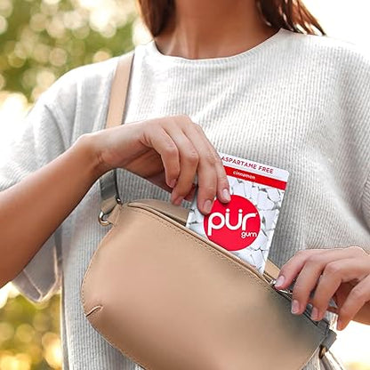 PUR Gum  Aspartame Free Chewing Gum  100 Xylitol  Natural Cinnamon Flavored Gum, 55 Pieces (Pack of 3)