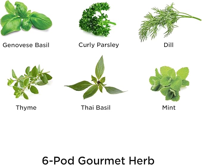 AeroGarden Gourmet Herb Seed Pod Kit - Herb Seeds for AeroGarden Indoor Garden