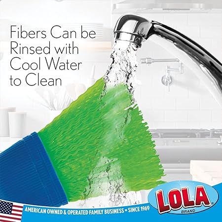 Lola Products Whisk Broom, Hand Brush, Durable Bristles, Whisks Away Dirt  Debris, Compact, Hang Hole for Easy Storage, IndoorOutdoor, 1 Pack