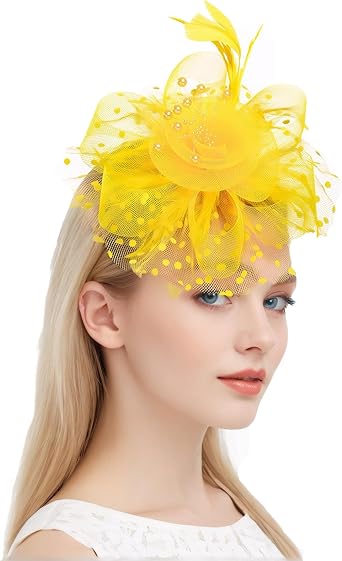 Kentucky Derby Hat for Women 2025 Fascinators Hat Elegant Mesh Feather Headband with Clip Tea Party Hats