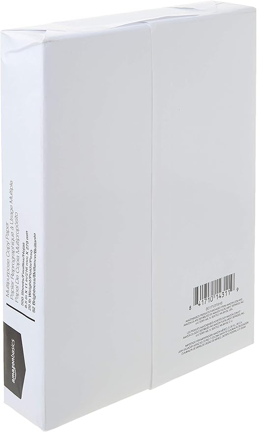 Basics Multipurpose Copy Printer Paper, 8.5 x 11 inches, 20 lb, 1 Ream, 500 Sheets, 92 Bright, White