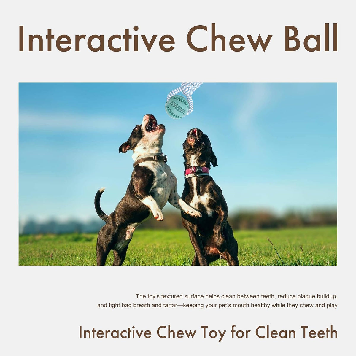 Indestructible Chew Toy for Aggressive Chewers - Durable Rubber Dog Teething Ball with Rope, Boredom Relief Puppy Toys