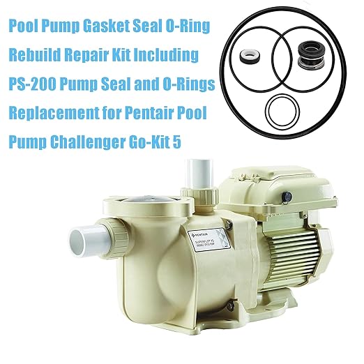 Pool Pump Gasket Seal O-Ring Rebuild Repair Kit Fit for Pentair Pool Pump Challenger Go-Kit 5 Including PS-200 Shaft Seal  O-Rings