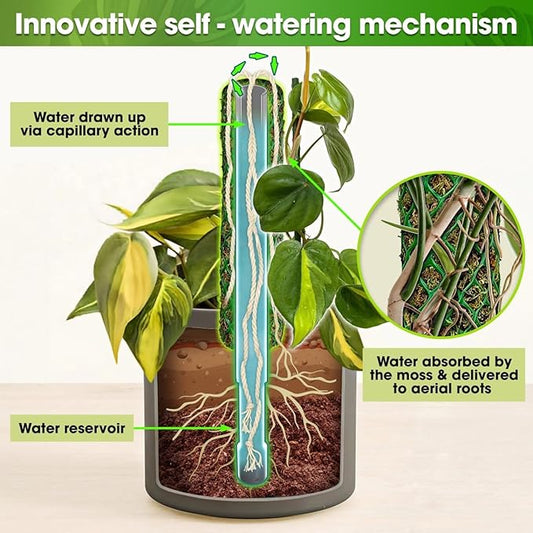 DUSPRO Self-Watering Natural Green Forest Moss Pole, Easy to Use Moss Sticks for Indoor Plants, Climbing Plant Support Stake with Self-Watering Feature, Moss Pole Monstera Plant Support 2pcs 17''