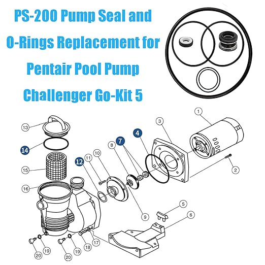 Pool Pump Gasket Seal O-Ring Rebuild Repair Kit Fit for Pentair Pool Pump Challenger Go-Kit 5 Including PS-200 Shaft Seal  O-Rings