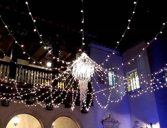 Novelty Lights 50 Light Clear Christmas Wedding Mini String Light Set, White Wire, Indoor/Outdoor UL Listed, 11' Long