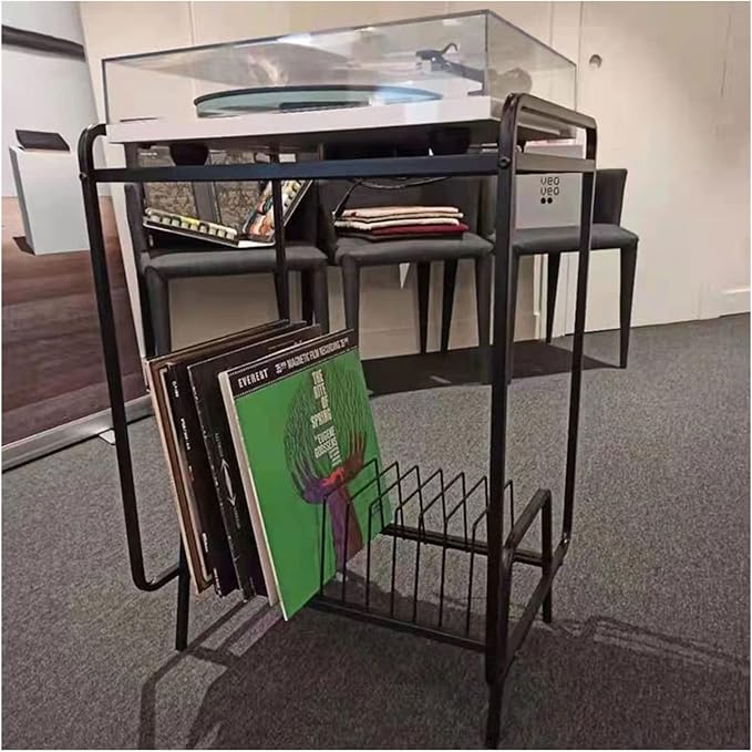Record Storage ShelfHolder Wrought Iron Storage Rack CD Rack Vinyl Record Album Magazine Book Rack Floor Stand Display Shelf Record Rack DVDCD Rack