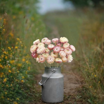 20 Pcs Natural Dried Daisy Flowers Bouquet Dried Flower Pink Daisies Dried Sunflowers Chrysanthemum with Stem for Wedding Farmhouse Table Vase Decor Home DIY Flower Arrangement