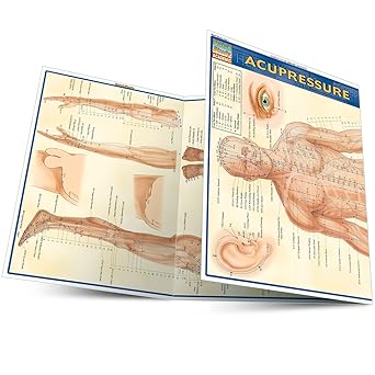 Acupressure Laminated Reference Guide (QuickStudy Academic)
