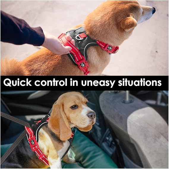 PHOEPET No Pull Dog Harness, Unique Colors Reflective Adjustable Dog Vest, with Soft Training Handle Metal Clips for Small Medium Large Dogs (Black Base  Red Straps,L)