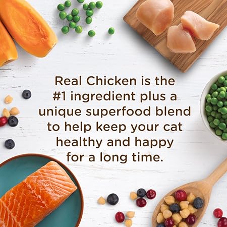 Rachael Ray Nutrish Longevity Premium Natural Dry Cat Food, Chicken with Chickpeas  Salmon Recipe, 6 Pounds (Packaging May Vary)