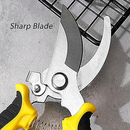 Gardening Scissor Curved Sharp Stainless Steel Blade Garden Cutter Shears Cutting Flowers Trimming Plants Yard Florist Flower Rose Herb Hedge Bonsai Fruits Picking