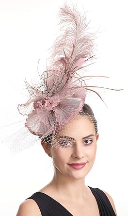 SAFERIN Fascinator for Women Hair Clip Hat Bowler Feather Flower Veil Wedding Party Hat Tea Hat