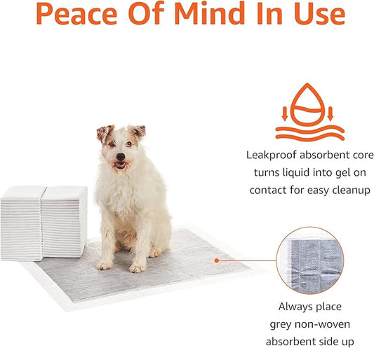 Basics Dog and Puppy Pee Pads with 5-Layer Leak-Proof Design and Super Absorbent Surface for Potty Training, Odor-Control Carbon, XL Size, 28 x 34 Inch - Pack of 50, Gray