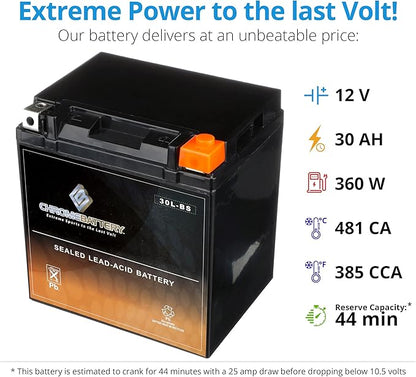 Chrome Battery YTX30L-BS Maintenance Free Replacement Battery for ATV, Motorcycle, Snowmobile, and UTV: 12 Volts, 3 Amps, 30Ah, Nut and Bolt (T3) Terminal