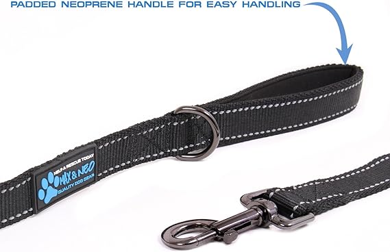 Max and Neo Reflective Nylon Dog Leash - We Donate a Leash to a Dog Rescue for Every Leash Sold (Purple, 6x1)