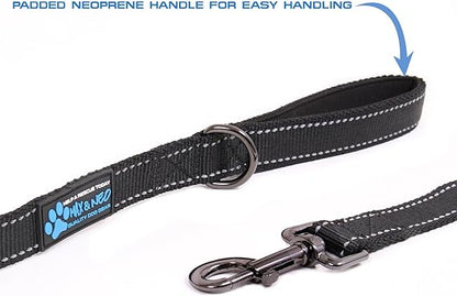 Max and Neo Reflective Nylon Dog Leash - We Donate a Leash to a Dog Rescue for Every Leash Sold (Purple, 6x1)
