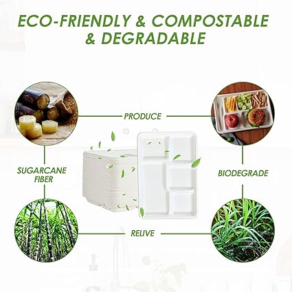 Vplus 100 Compostable 5 Compartment Paper Plates, 100 Pack, 12.5 x 8.6 inch Disposable School Lunch Trays, Eco-Friendly Bagasse Plates for Buffet, and Party