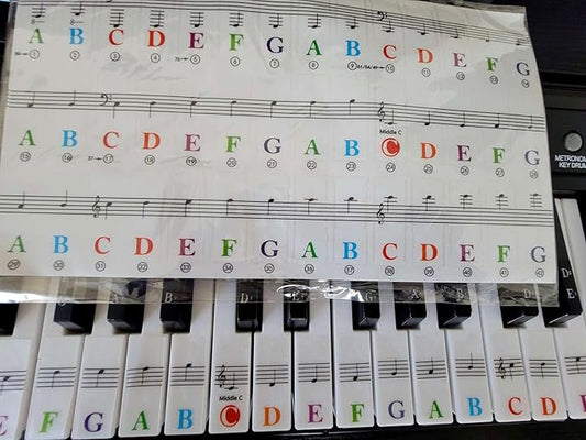 Piano Keyboard Sticker Label Large Note for Electronic Keyboards or Piano Beginners Easy Learning Tool 3749617688 Key Piano