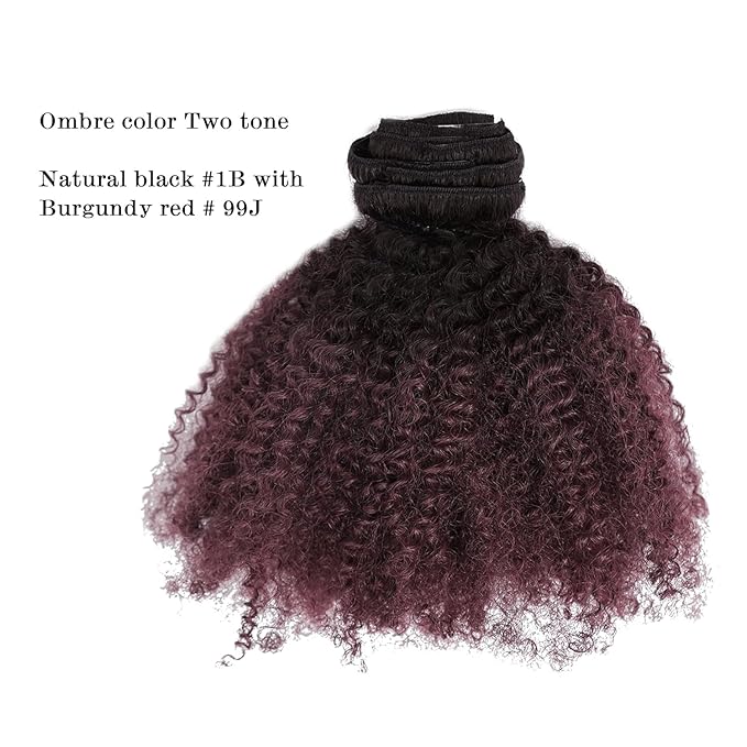 Ombre Remy Clip in Human Hair Extensions Afro Kinky Curly For Black Women 4A 4B 100 Human Hair Clip ins Two Tone 1B99J Burgundy Wine Red Full Head (10 inch,T1B99J AC)