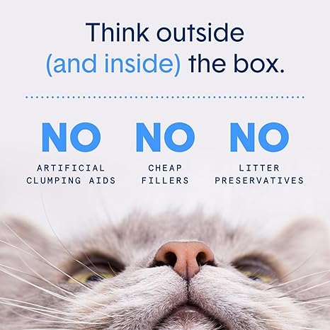 Boxie Probiotic Cat Litter, 40-Day Odor Control, Clumping Clay, 16lb