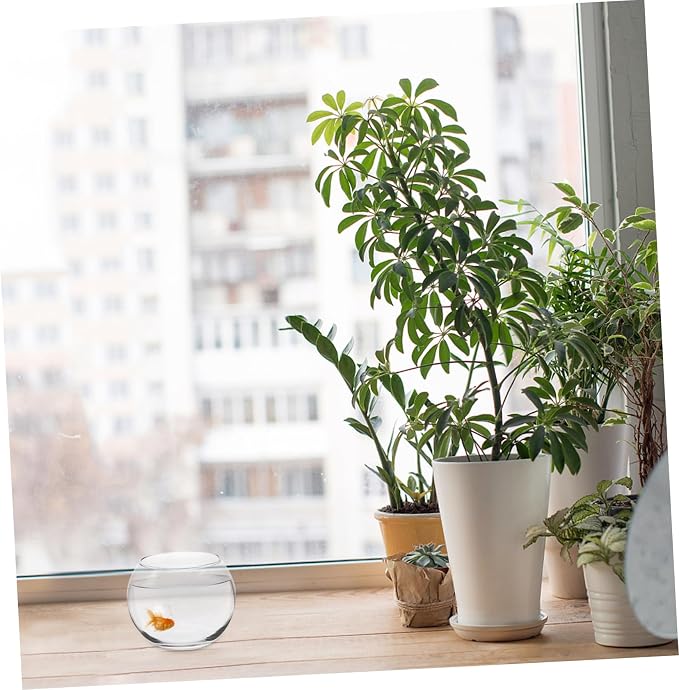 Yardwe Glass Fish Bowl Transparent Hydroponic Plant Container Bubble Vase for Home Decor Centerpiece Display and Compact Design for Spaces (pack 2)
