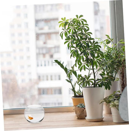 Yardwe Glass Fish Bowl Transparent Hydroponic Plant Container Bubble Vase for Home Decor Centerpiece Display and Compact Design for Spaces (pack 2)