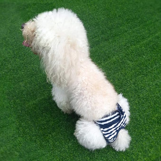 ULTECHNOVO 1pc Reusable Dog Diapers Female Puppy Physiological Pants Washable Dog Diapers Pet Pants Dog Diapers Female Large Dog Period Diapers Female Dog Shorts Kitten