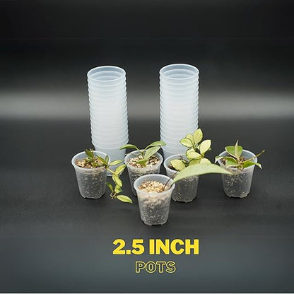 Clear Nursery Pots - 2.5 Inches (Pack of 40) | Nursery Pots | Clear Propagation Pots | Garden Pots | Clear Sturdy Pots | Transparent Pots