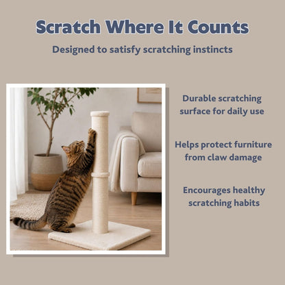 Trixie Parla Cat Scratching Post 24.4 Inch - Cat Scratcher with Soft Fabric Covering Base and Durable Natural Jute Rope - Beige
