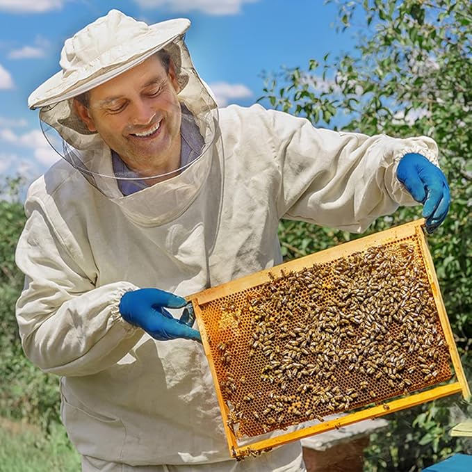Beehive Waxed Coated Foundation Sheet 30pcs Honeycombs Bee Wax Nest Foundation Bee Keeping Supplies Non-Toxic Deep Hive Sheets(8 13 x 16 57 Inch)