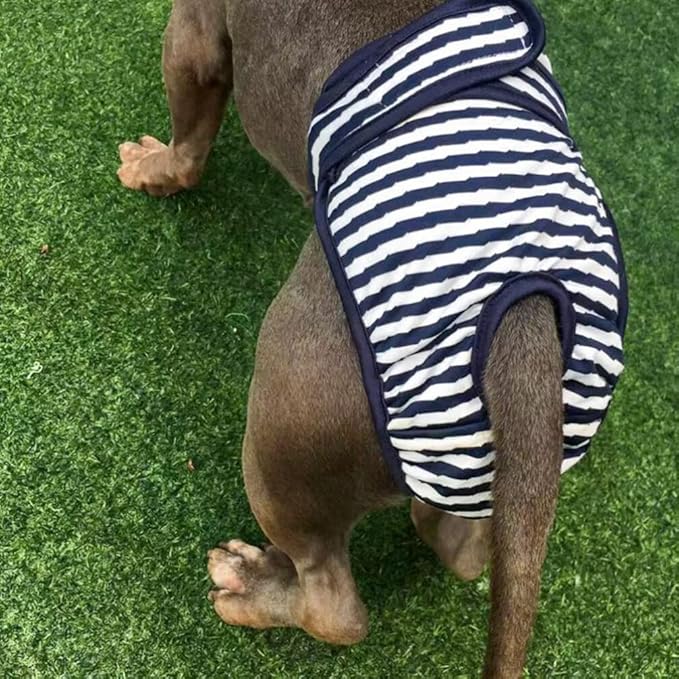 Alasum 1pc Diapers for Dogs Reusable Dog Diapers Cats Diapers Dog Period Diapers Female Puppy Diapers Male Reusable Doggy Diapers Stripe pet Diapers Puppy Panties Dog Shorts The Dog Pants