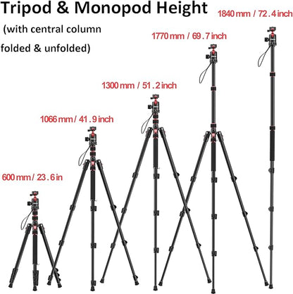 ULANZI TT31 - Quick release camera tripod with claw, folding aluminum tripod and monopod, detachable 360 ball head and QR plate with reversible legs of 180, payload of 33