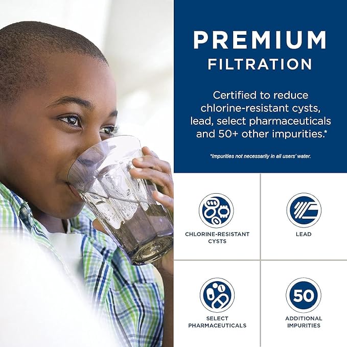 GE RPWFE Refrigerator Water Filter, Genuine Replacement Filter, Certified to Reduce Lead, Sulfur, and 50+ Other Impurities, Replace Every 6 Months for Best Results, Pack of 1