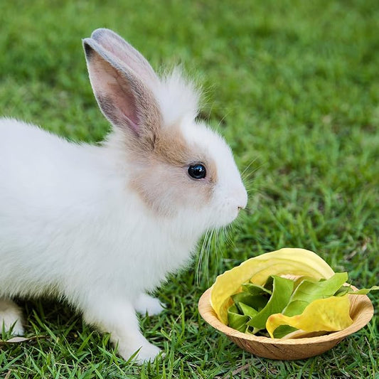 Set of 50 4-inch disposable palm leaf plates for rabbits, sturdy bamboo bowls for parties, compostable decorative tableware for rabbits, Easter, birthday, outdoors