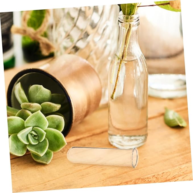 Glass Test Tube Vase for Plant Propagation 5 Pack Water Tube for Flowers Elegant Home Decor for Office Dinner Parties