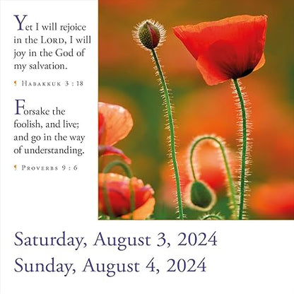 365 Bible Verses-A-Year for 2024 Page-A-Day Calendar: Timeless Words From the Bible to Guide, Comfort, and Inspire