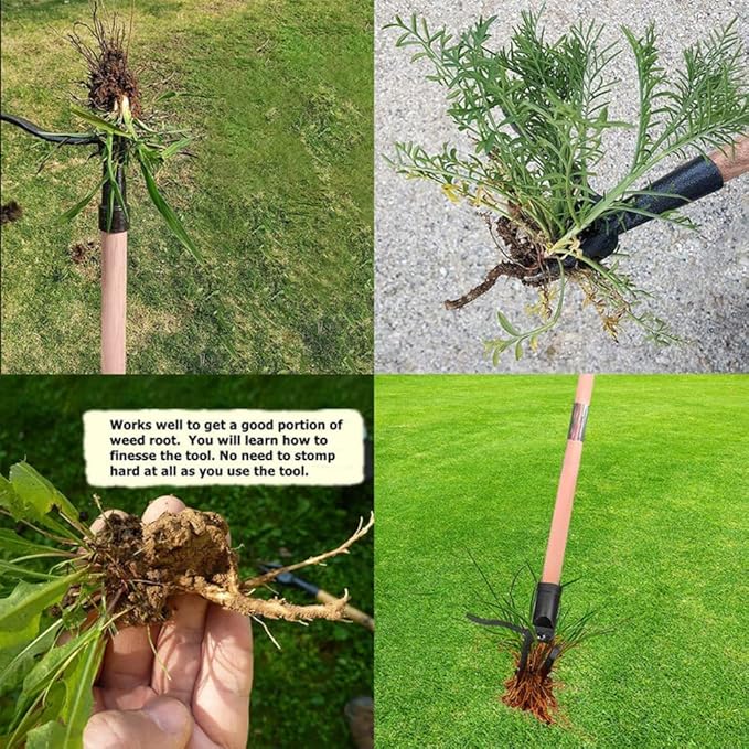 Heavy Duty Stand Up Weed Picker-Cast Iron Weed Removal Tool for Garden Handheld Weed Puller Without Bending Pulling, Kneeling -No Handle