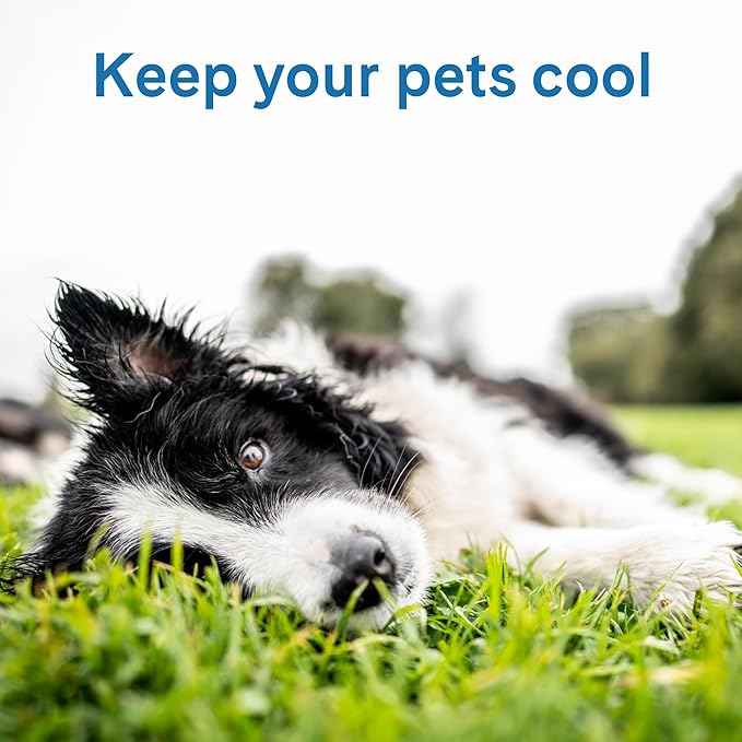 The Green Pet Shop Cool Pet Pad - Medium, Blue - Self-Cooling, Pressure Activated Mat for Dogs  Cats from 21-45 lbs - Non-Toxic Gel, No Water Needed