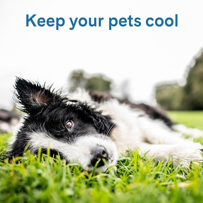 The Green Pet Shop Cool Pet Pad - Medium, Blue - Self-Cooling, Pressure Activated Mat for Dogs  Cats from 21-45 lbs - Non-Toxic Gel, No Water Needed