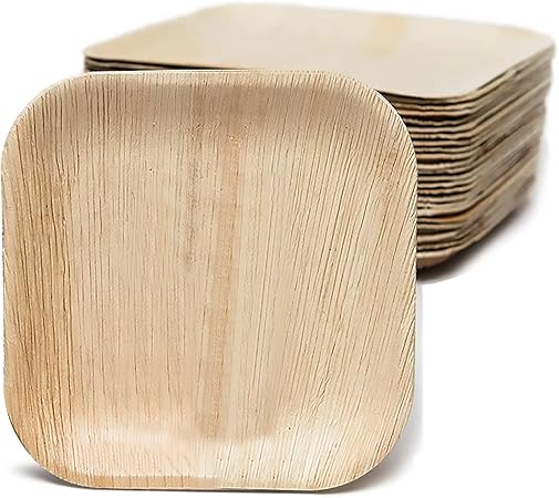 10 Pack Palm Leaf Plates - 10 Inch Square Biodegradable Dinner Plates - Compostable, Sturdy like Bamboo - Eco-Friendly Green Dinnerware for Weddings, Party, Holidays, Christmas, Pack of 10