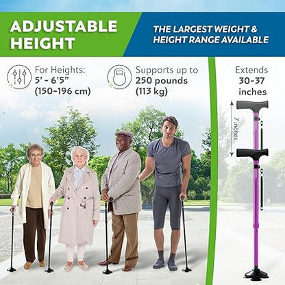 HONEYBULL Walking Cane for Men  Women - Foldable, Adjustable, Collapsible, Free Standing Cane, Pivot Tip, Heavy Duty  Walking Sticks, Folding Canes for Seniors  Adults Purple