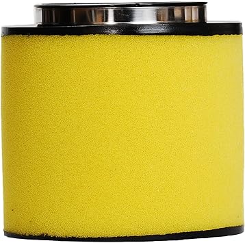 HIFROM Air Filter Element Cleaner replacement for Honda Foreman 500 4x4 (TRX500FMï¼ŒTRX500FEï¼ŒTRX500FPE & TRX500FPM) & Rubicon 500 (TRX500FMï¼ŒTRX500FA & TRX500FGA) Replace 17254-HN1-000 (Pack of 1)
