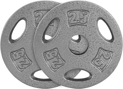 WF Athletic Supply Cast Iron 1 in Standard Grip Plate