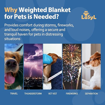 LaSyL Weighted Blanket for Pets  Thunder Blanket for Dogs Anxiety  Premium Soft Minky  Relaxation  Calming  Anti Anxiety  Blue Grey Star, Washable Small 24" L x 32" W