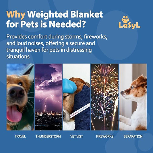 LaSyL Weighted Blanket for Pets  Thunder Blanket for Dogs Anxiety  Premium Soft Minky  Relaxation  Calming  Anti Anxiety  Blue Grey Star, Washable Small 24" L x 32" W