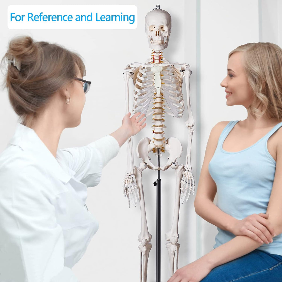 breesky 70.8 Inches Flexible Human Skeleton Model for Anatomy - Life Size Medical Human Skeleton Model with Nervous System with Rolling Stand for Medical Study and Display 3 Posters